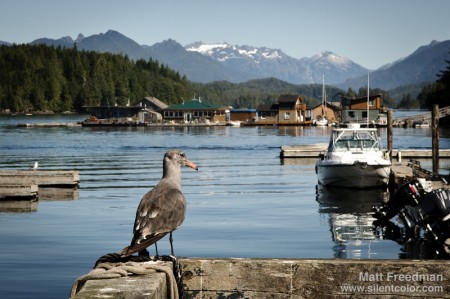 vancouver island-0002